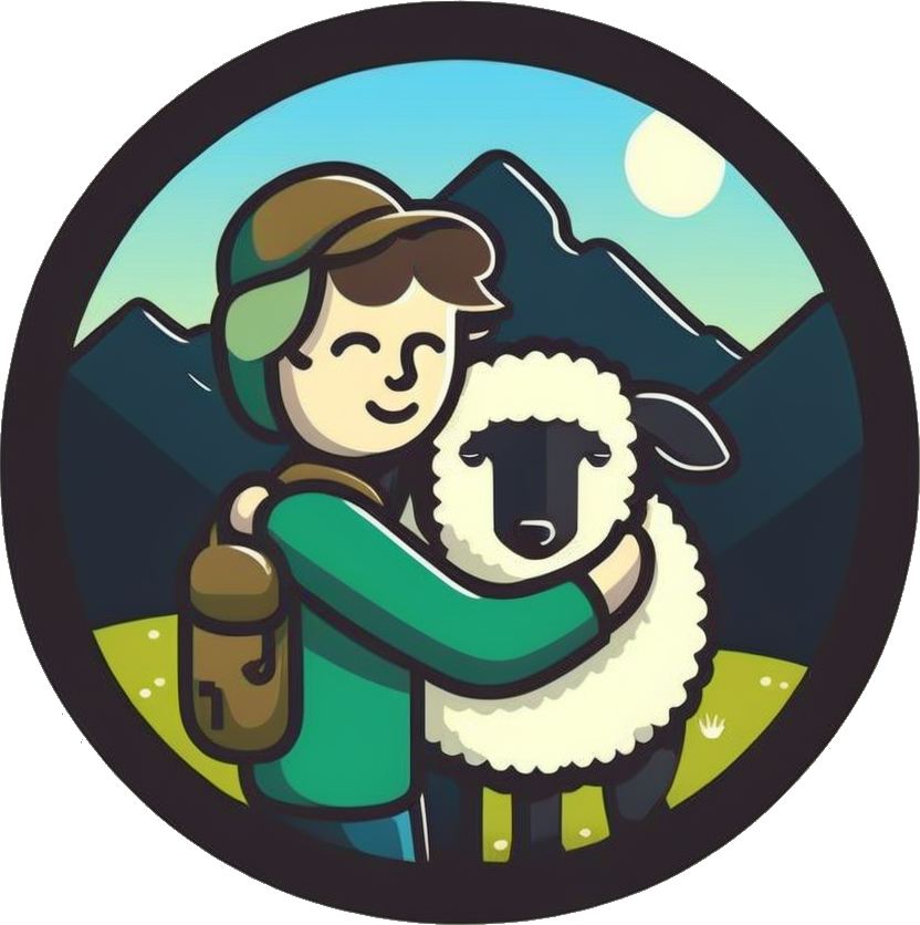 Qu’estce qu’une ampoule ou cloque au pied? lalainedumarcheur